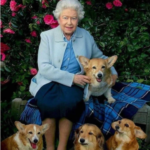 La reina que nadie vio: risas, bailes y adiós