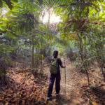 Persona caminando por un sendero forestal, ejemplo de turismo lento