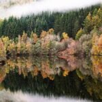 Bosque con colores de otoño junto a un lago en las Tierras Altas de Escocia